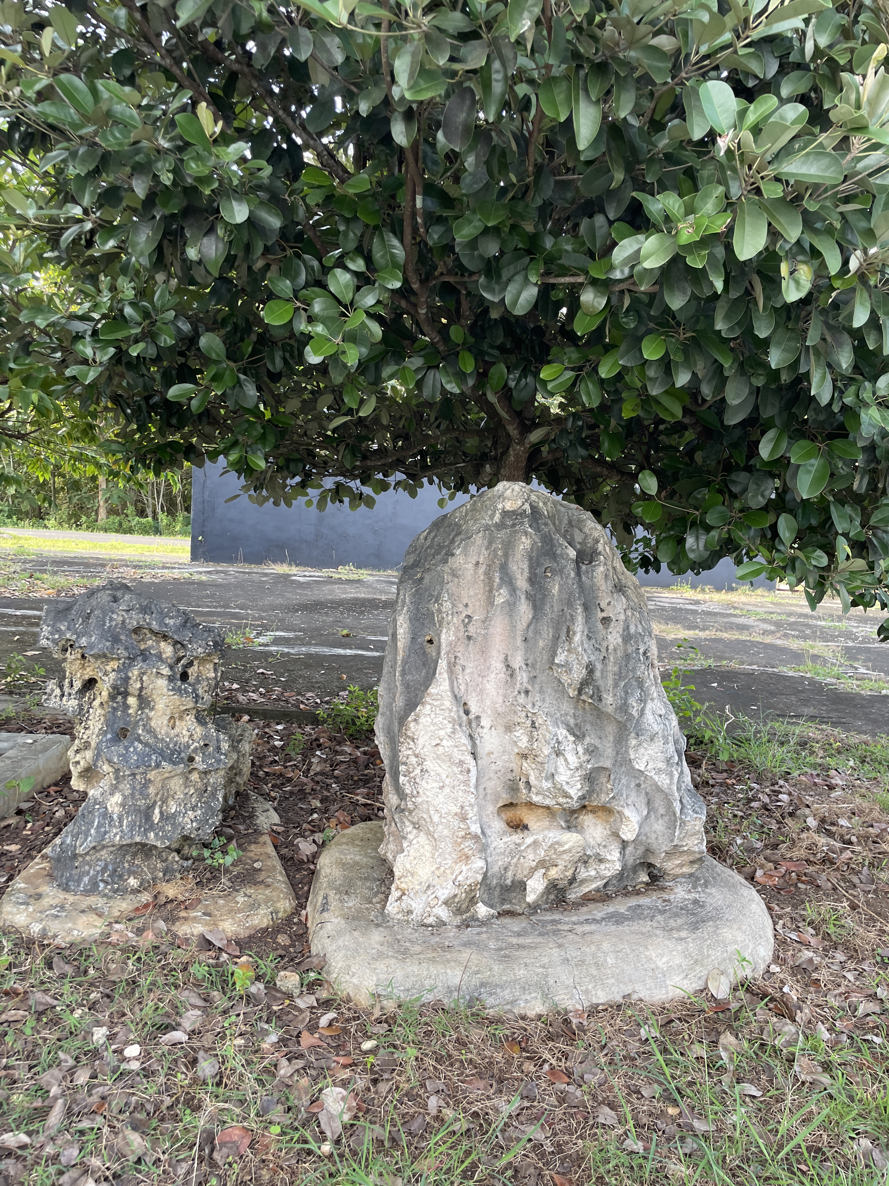 Karst dan Batu Purba 